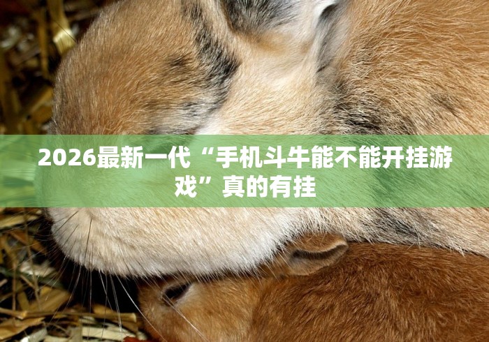 2026最新一代“手机斗牛能不能开挂游戏	”真的有挂