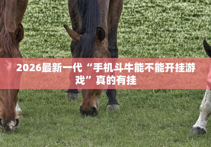 2026最新一代“手机斗牛能不能开挂游戏”真的有挂