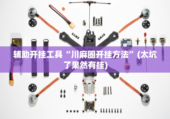辅助开挂工具“川麻圈开挂方法”(太坑了果然有挂)
