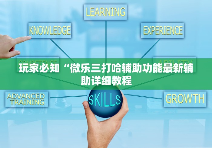 玩家必知“微乐三打哈辅助功能最新辅助详细教程