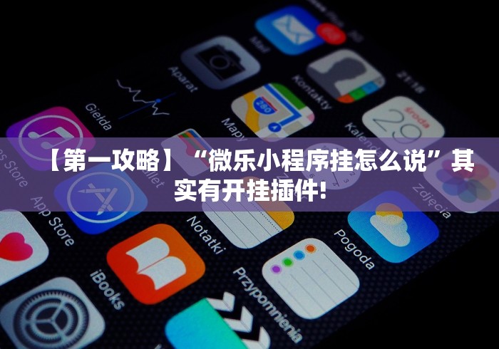 【第一攻略】“微乐小程序挂怎么说”其实有开挂插件!