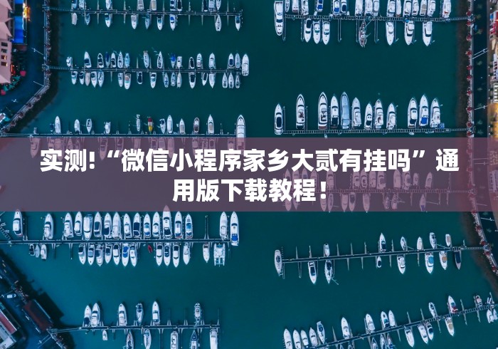 实测!“微信小程序家乡大贰有挂吗	”通用版下载教程！