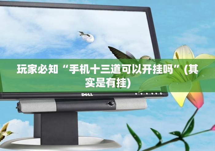 玩家必知“手机十三道可以开挂吗	”(其实是有挂)