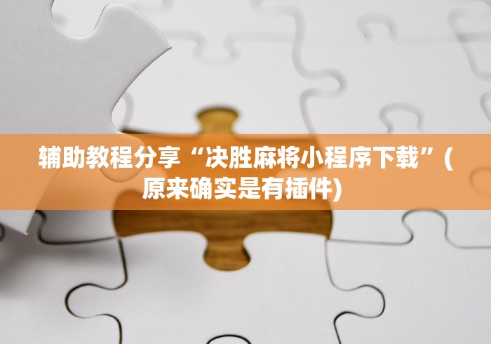 辅助教程分享“决胜麻将小程序下载”(原来确实是有插件) 