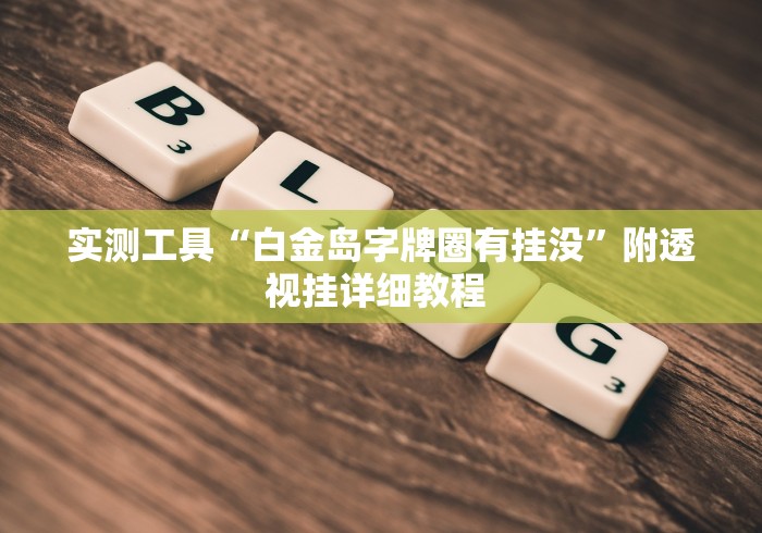 实测工具“白金岛字牌圈有挂没”附透视挂详细教程 