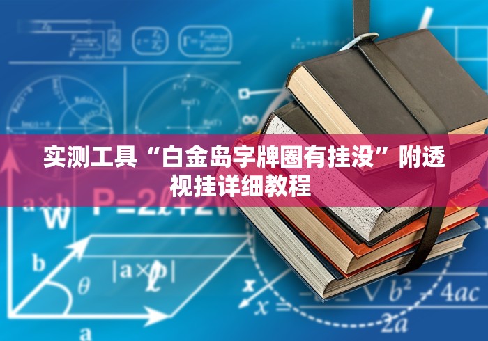 实测工具“白金岛字牌圈有挂没”附透视挂详细教程 
