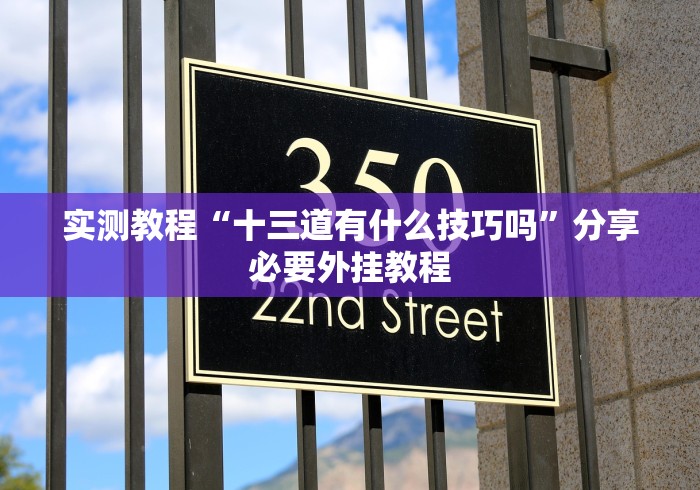 实测教程“十三道有什么技巧吗	”分享必要外挂教程