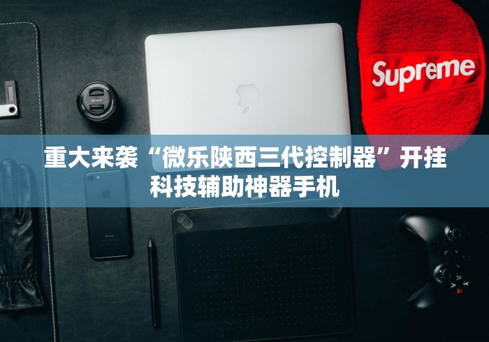 重大来袭“微乐陕西三代控制器”开挂科技辅助神器手机