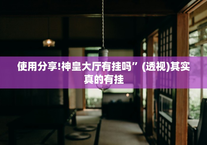 使用分享!神皇大厅有挂吗	”(透视)其实真的有挂