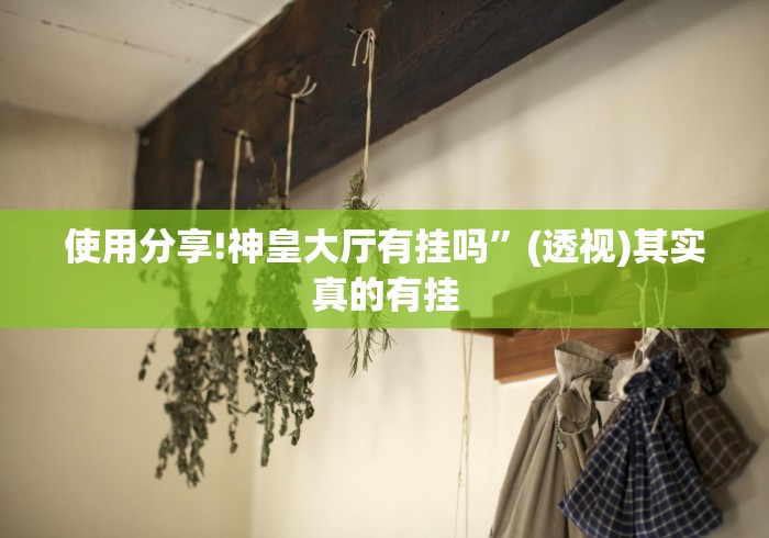 使用分享!神皇大厅有挂吗”(透视)其实真的有挂