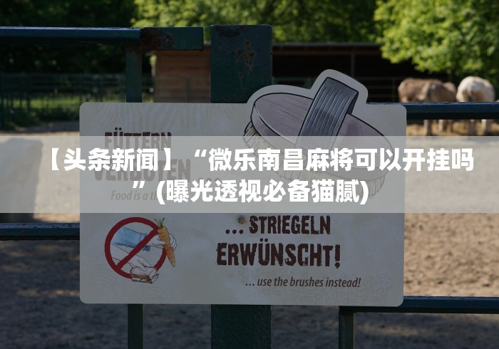 【头条新闻】“微乐南昌麻将可以开挂吗	”(曝光透视必备猫腻)