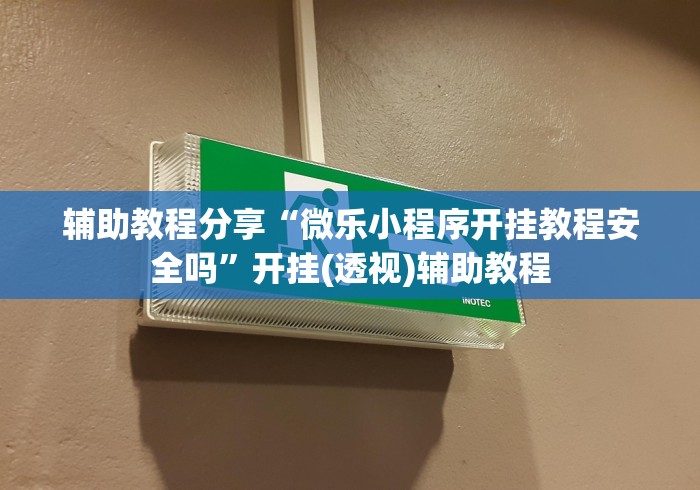 辅助教程分享“微乐小程序开挂教程安全吗”开挂(透视)辅助教程