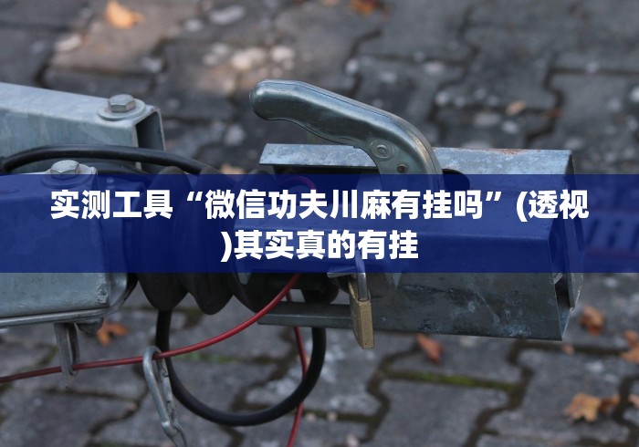 实测工具“微信功夫川麻有挂吗”(透视)其实真的有挂