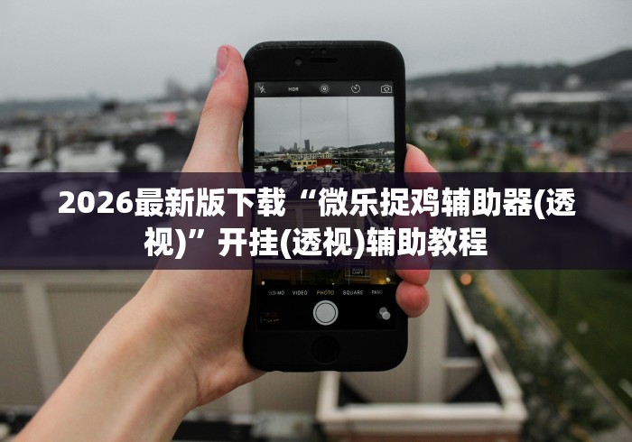 2026最新版下载“微乐捉鸡辅助器(透视)”开挂(透视)辅助教程