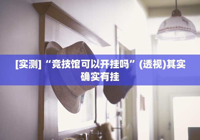 [实测]“竞技馆可以开挂吗”(透视)其实确实有挂
