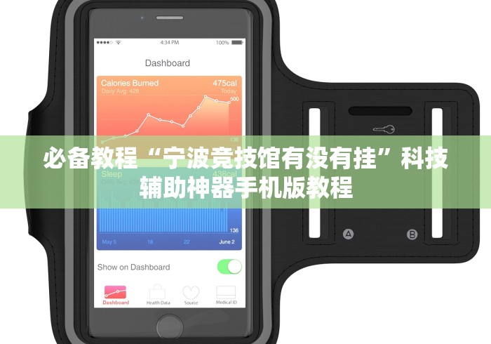 必备教程“宁波竞技馆有没有挂	”科技辅助神器手机版教程
