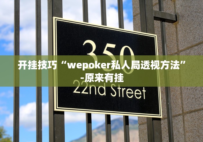 开挂技巧“wepoker私人局透视方法”-原来有挂