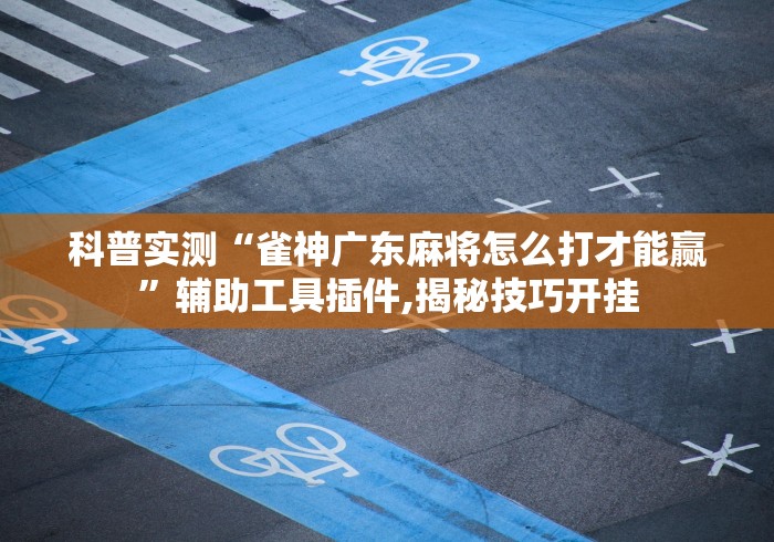科普实测“雀神广东麻将怎么打才能赢”辅助工具插件,揭秘技巧开挂