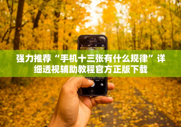 强力推荐“手机十三张有什么规律	”详细透视辅助教程官方正版下载
