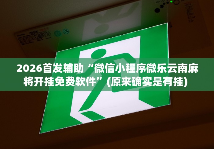 2026首发辅助“微信小程序微乐云南麻将开挂免费软件	”(原来确实是有挂) 
