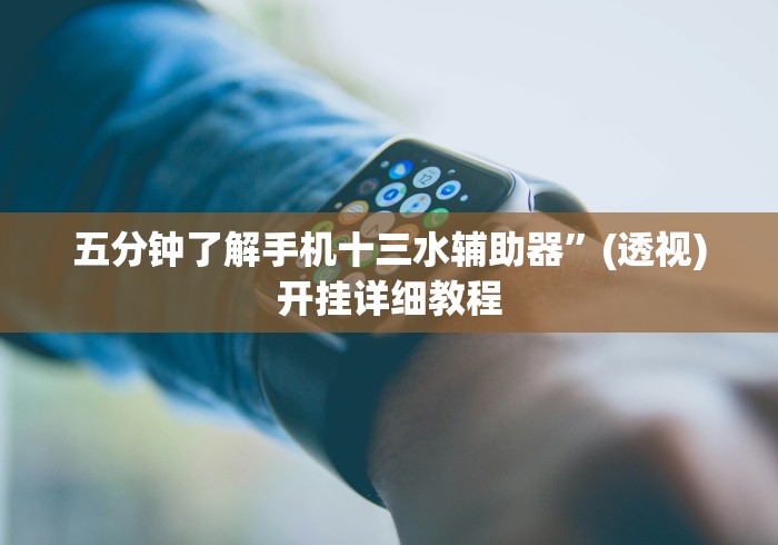 五分钟了解手机十三水辅助器”(透视)开挂详细教程