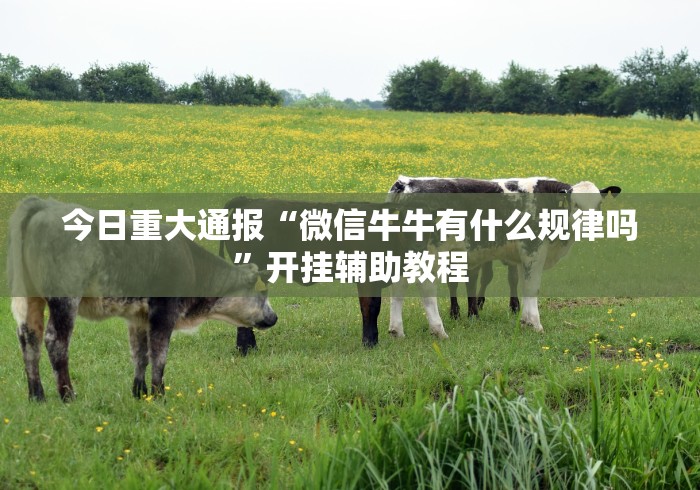 今日重大通报“微信牛牛有什么规律吗	”开挂辅助教程