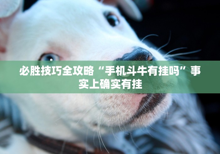 必胜技巧全攻略“手机斗牛有挂吗	”事实上确实有挂