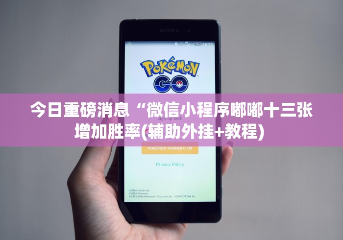 今日重磅消息“微信小程序嘟嘟十三张增加胜率(辅助外挂+教程) 今日重磅消息“微信小程序嘟嘟十三张增加胜率(辅助外挂+教程)