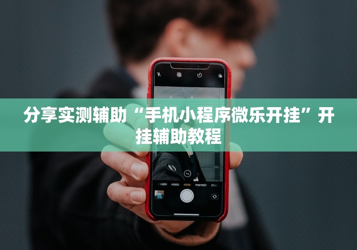 分享实测辅助“手机小程序微乐开挂”开挂辅助教程