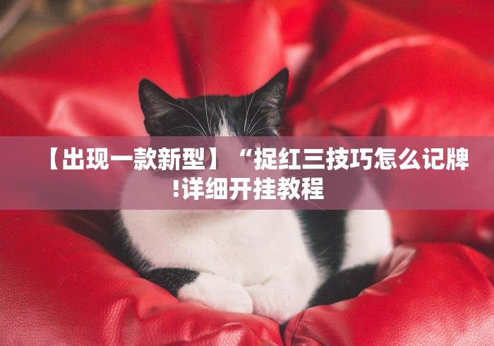 【出现一款新型】“捉红三技巧怎么记牌!详细开挂教程