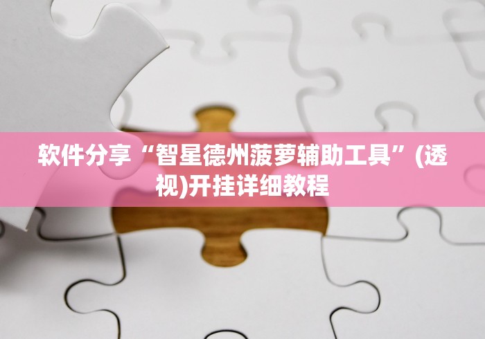 软件分享“智星德州菠萝辅助工具”(透视)开挂详细教程