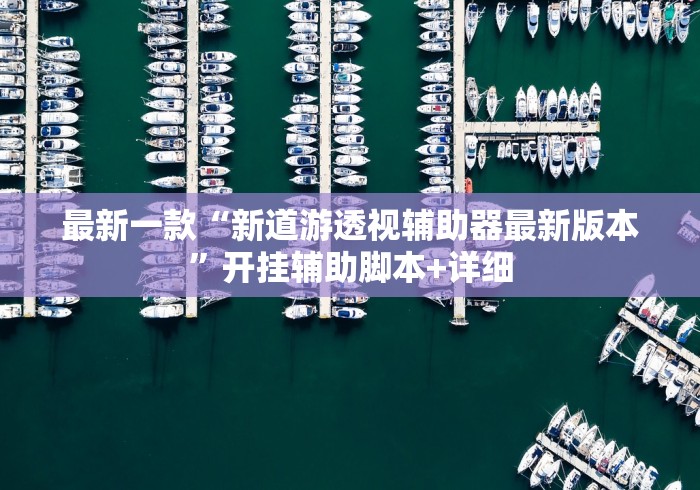 最新一款“新道游透视辅助器最新版本	”开挂辅助脚本+详细