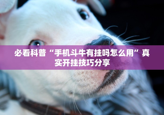 必看科普“手机斗牛有挂吗怎么用”真实开挂技巧分享