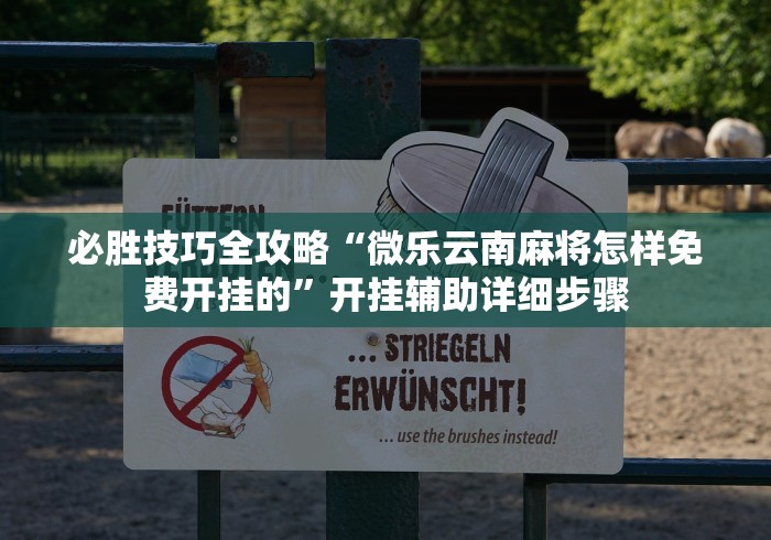 必胜技巧全攻略“微乐云南麻将怎样免费开挂的	”开挂辅助详细步骤