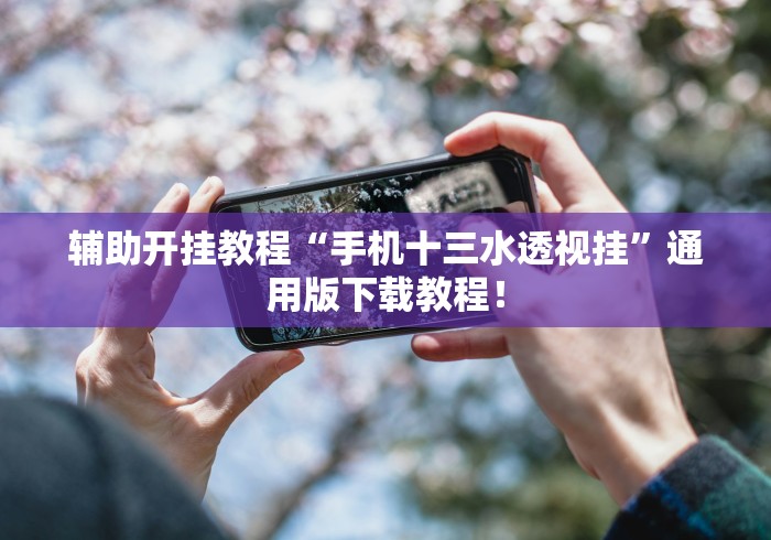辅助开挂教程“手机十三水透视挂”通用版下载教程！