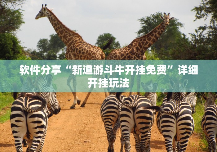 软件分享“新道游斗牛开挂免费	”详细开挂玩法
