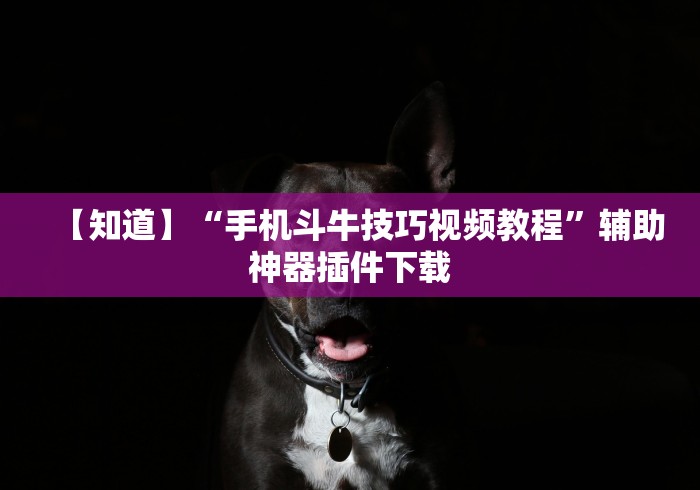 【知道】“手机斗牛技巧视频教程”辅助神器插件下载