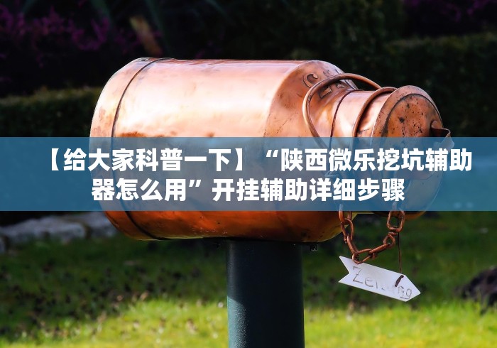 【给大家科普一下】“陕西微乐挖坑辅助器怎么用”开挂辅助详细步骤