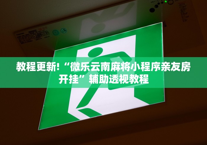 教程更新!“微乐云南麻将小程序亲友房开挂”辅助透视教程
