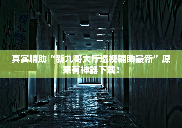 真实辅助“新九哥大厅透视辅助最新”原来有神器下载！