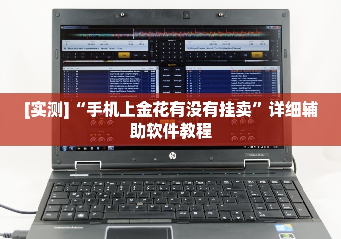 [实测]“手机上金花有没有挂卖”详细辅助软件教程