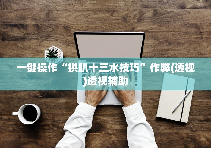一键操作“拱趴十三水技巧”作弊(透视)透视辅助
