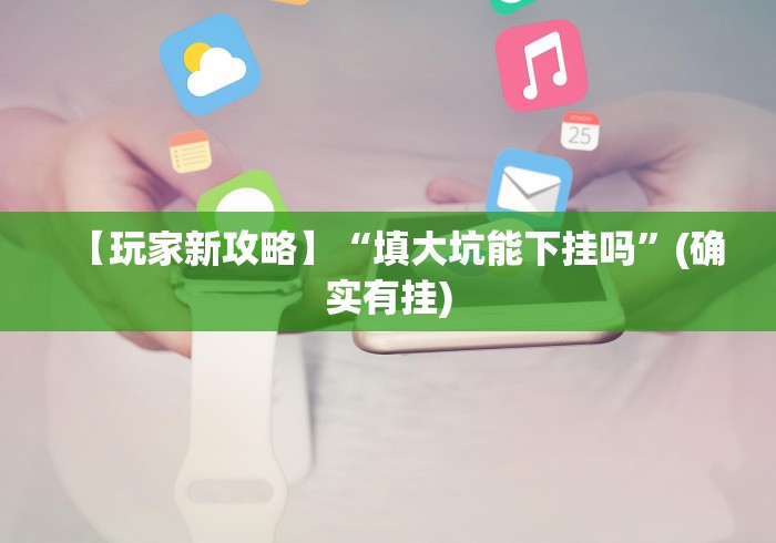 【玩家新攻略】“填大坑能下挂吗”(确实有挂)