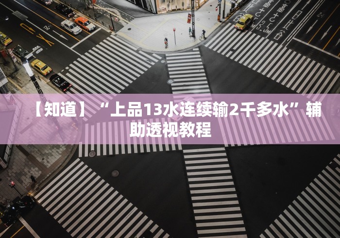 【知道】“上品13水连续输2千多水	”辅助透视教程