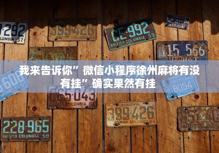 我来告诉你”微信小程序徐州麻将有没有挂	”确实果然有挂 