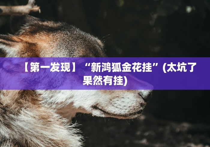 【第一发现】“新鸿狐金花挂”(太坑了果然有挂)
