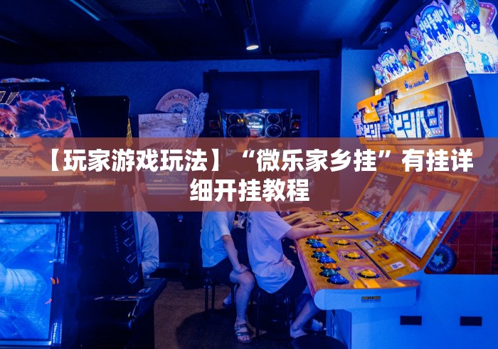 【玩家游戏玩法】“微乐家乡挂”有挂详细开挂教程
