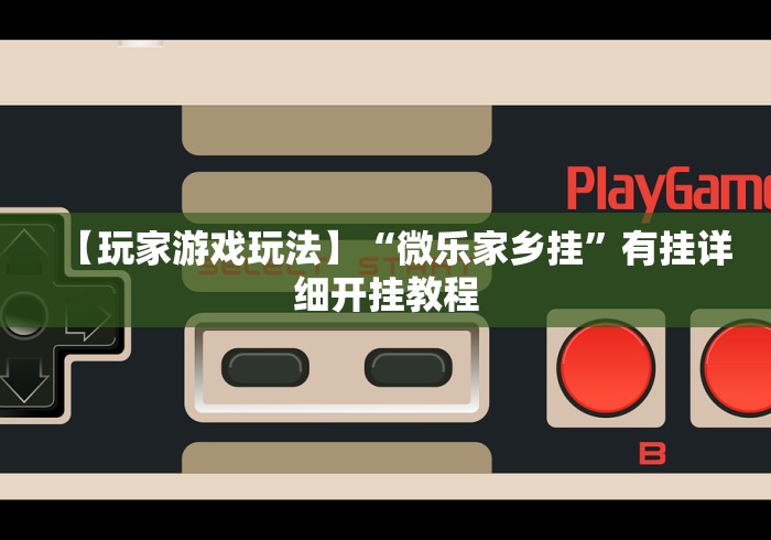 【玩家游戏玩法】“微乐家乡挂”有挂详细开挂教程