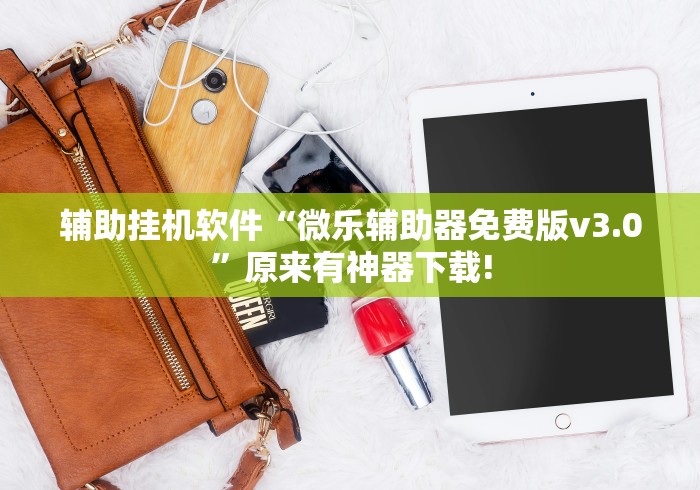 辅助挂机软件“微乐辅助器免费版v3.0	”原来有神器下载!