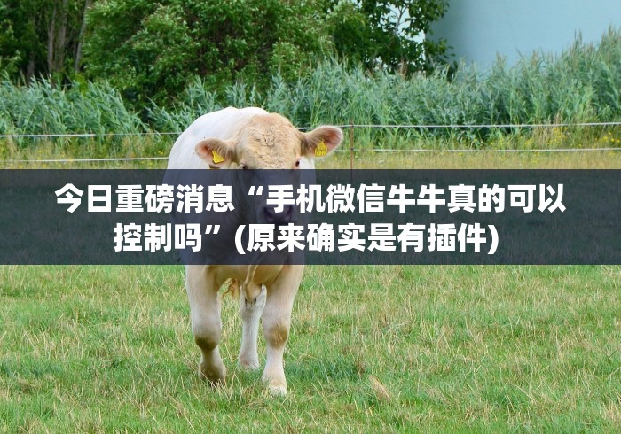 今日重磅消息“手机微信牛牛真的可以控制吗”(原来确实是有插件) 